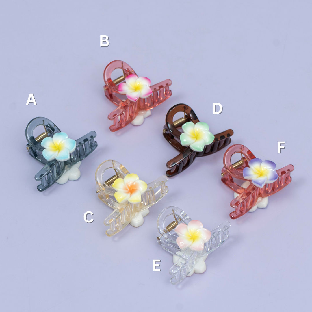 Floral Transparent Hair Claw Clip (1Dz) -UBKWS2396