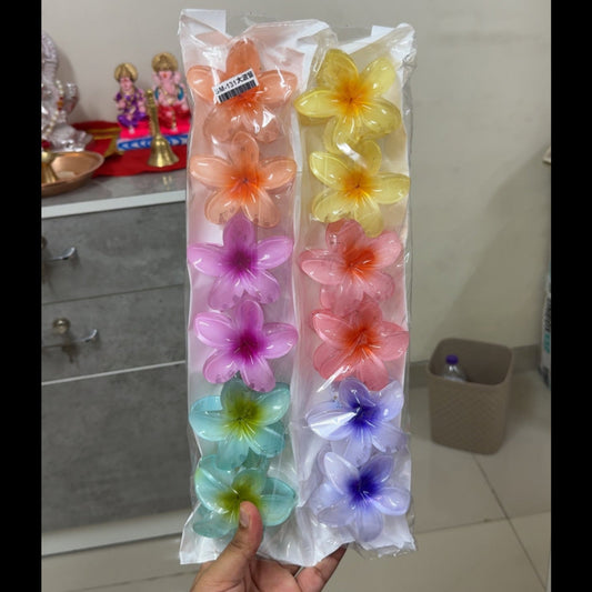 BIG Hawaii Hair claw (Pack of 12) - UBKWS759