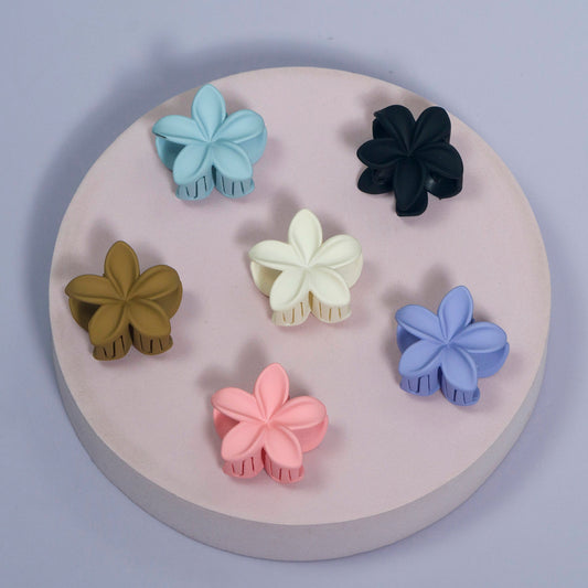 Matte Small Hawaii Hair Claw (12Pcs)  – UBKWS1107