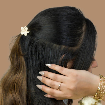 Mini hair claws (12 Boxes) - UBKWS929