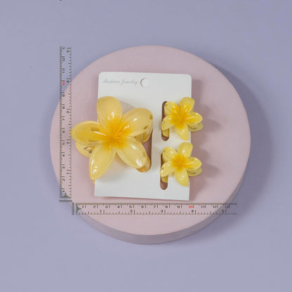Glossy Plumeria Hair Claw Set (12 Sets) - UBKWS1175