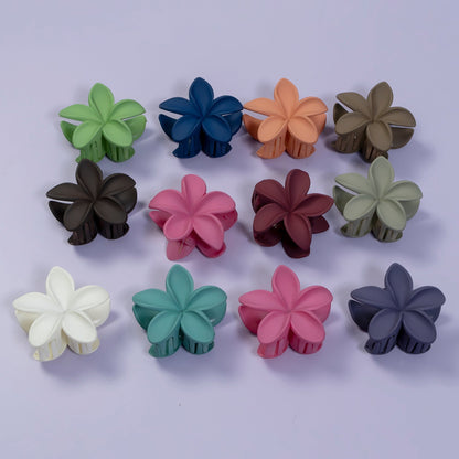 Hawaii Matt hair claw (Pack of 12) - UBKWS630