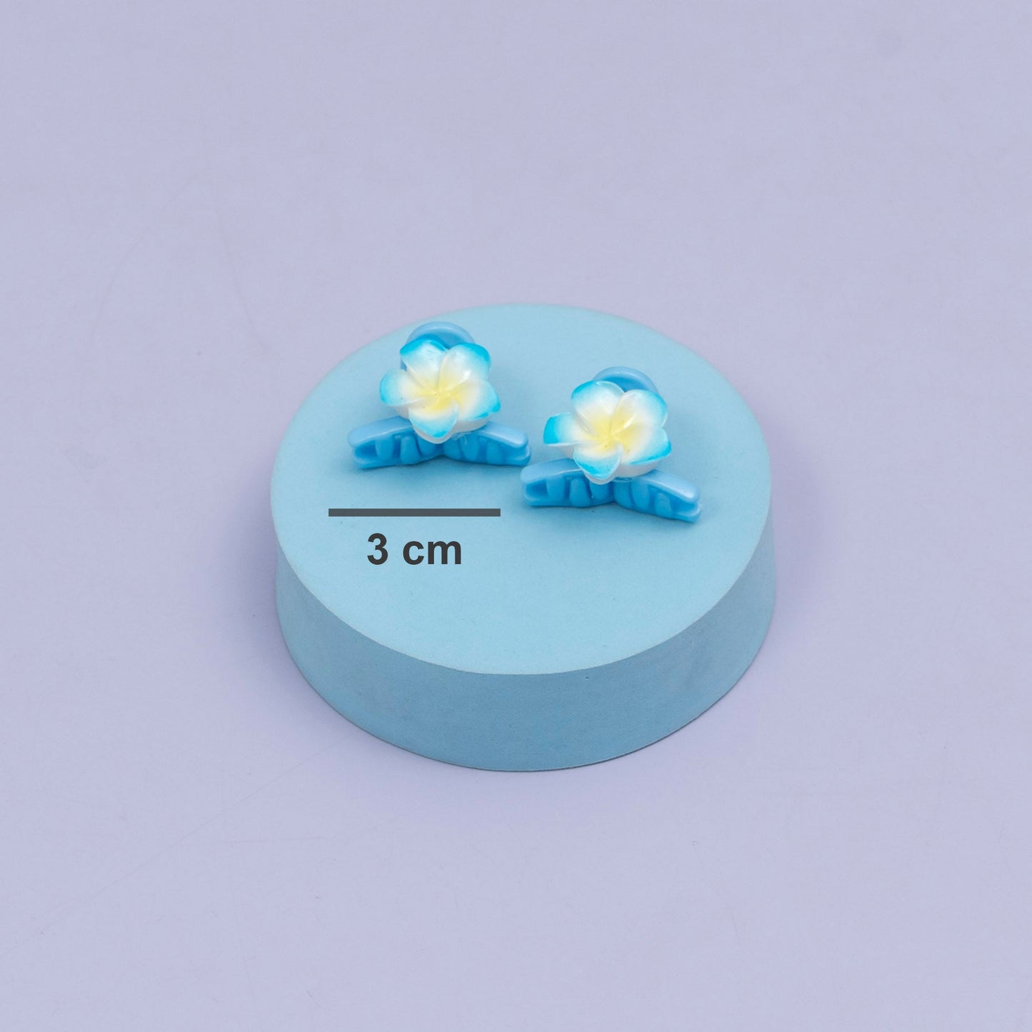 Mini Flower Hair Claw (10 Pairs) - UBKWS2538