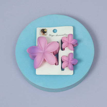 Matte Flower Hair Claw Combo (1Dz) - UBKWS2525