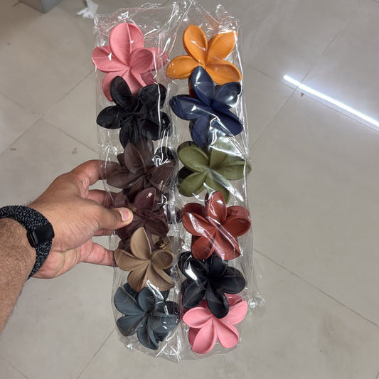 Hawaii Matt hair claw (Pack of 12) - UBKWS630