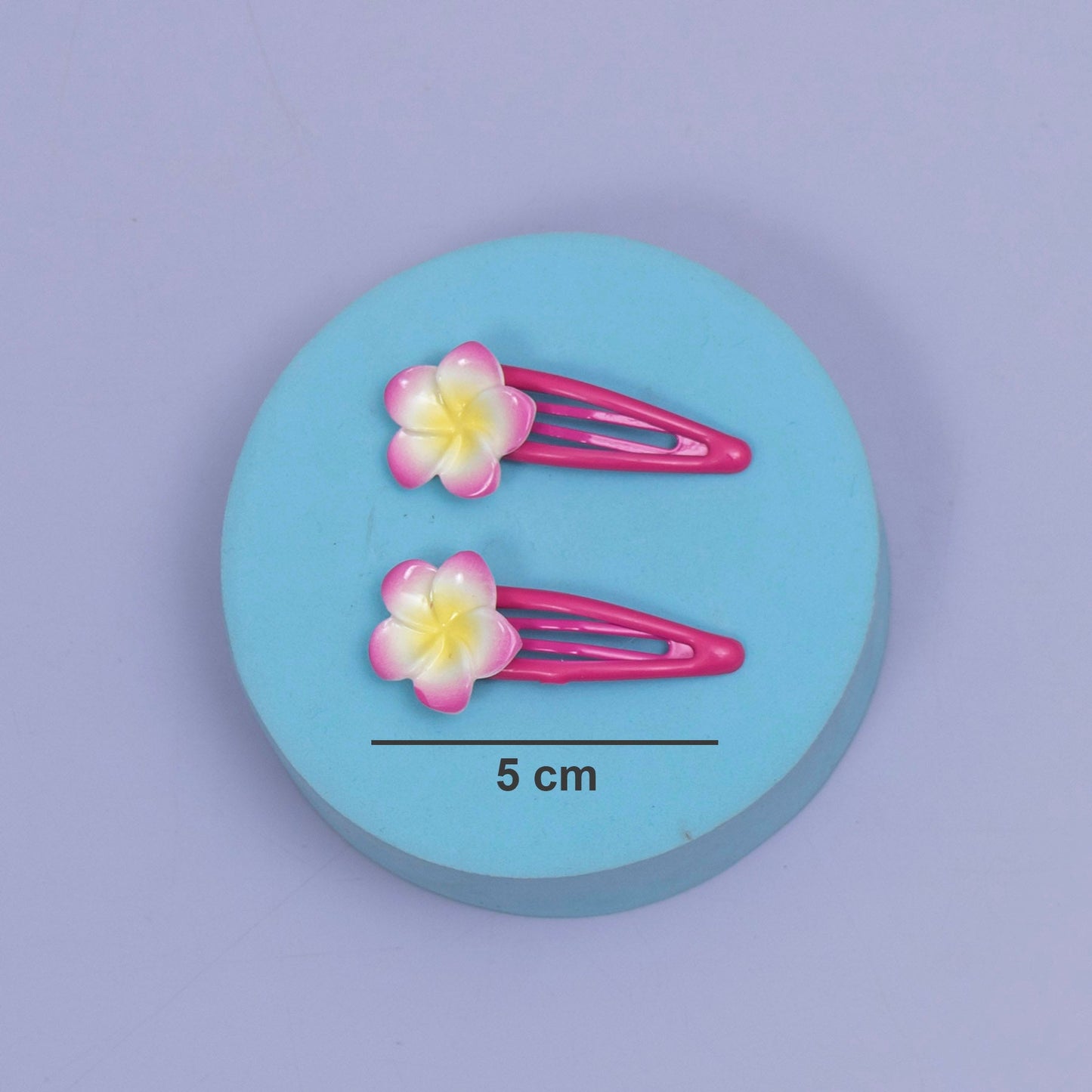 Gradient Flower Snap Hair Clip (10 Pairs) - UBKWS2564