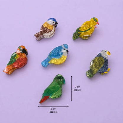 Acrylic Bird Hair claw (1Dz) - UBKWS2861