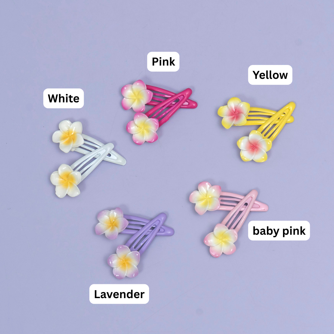 Gradient Flower Snap Hair Clip (10 Pairs) - UBKWS2564