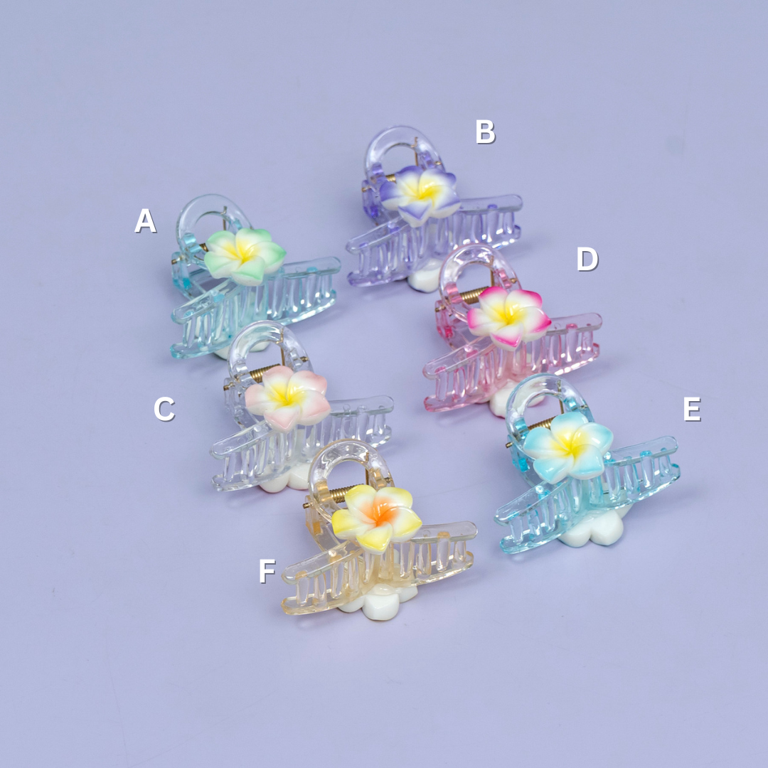 Floral Transparent Hair Claw Clip (1Dz) - UBKWS2401