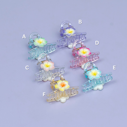 Floral Transparent Hair Claw Clip (1Dz) - UBKWS2401