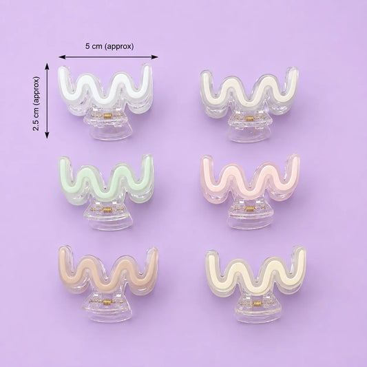 Premium Bofeini hair claw (1Dz) - UBKWS4170