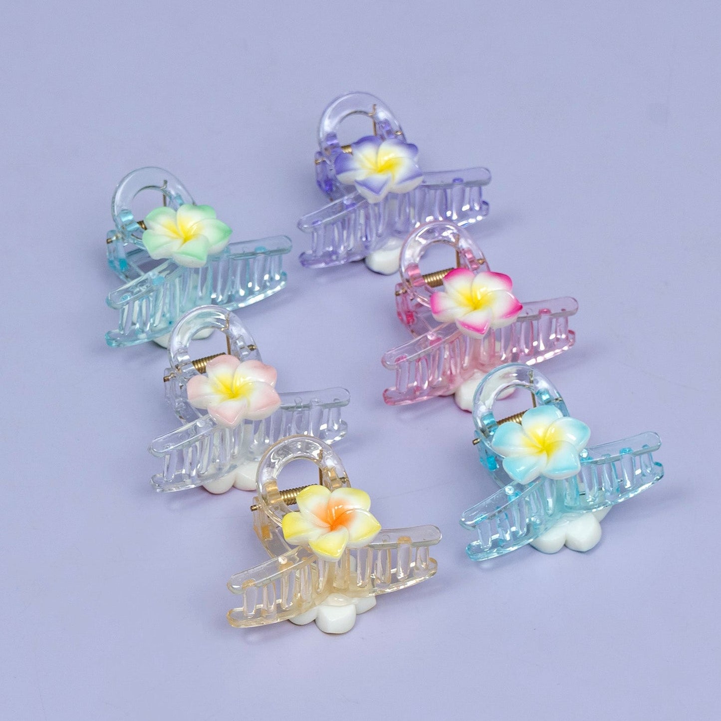 Floral Transparent Hair Claw Clip (1Dz) - UBKWS2401