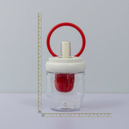 Baby Fruit Feeder Bottle with Ring Handle (6Pcs) - UBKWS1166
