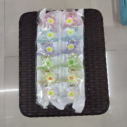 Floral Transparent Hair Claw Clip (1Dz) - UBKWS2401